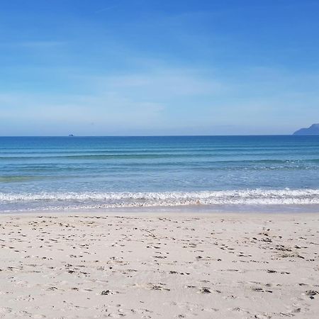 Ideal Property Mallorca - Playasol Port de Alcudia  Esterno foto