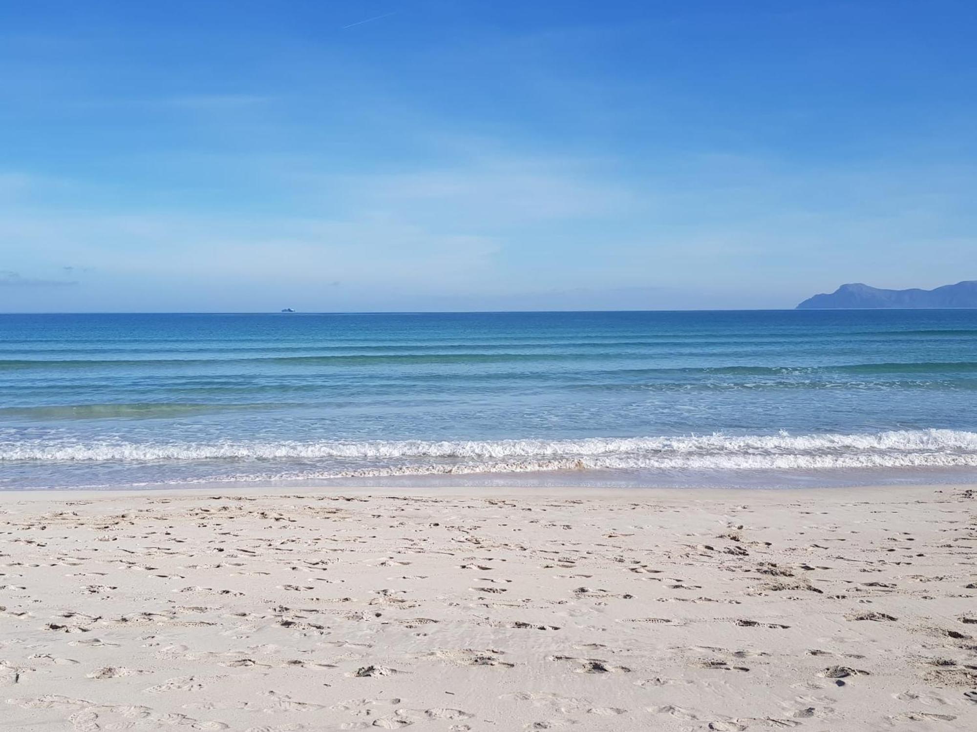 Ideal Property Mallorca - Playasol Port de Alcudia  Esterno foto