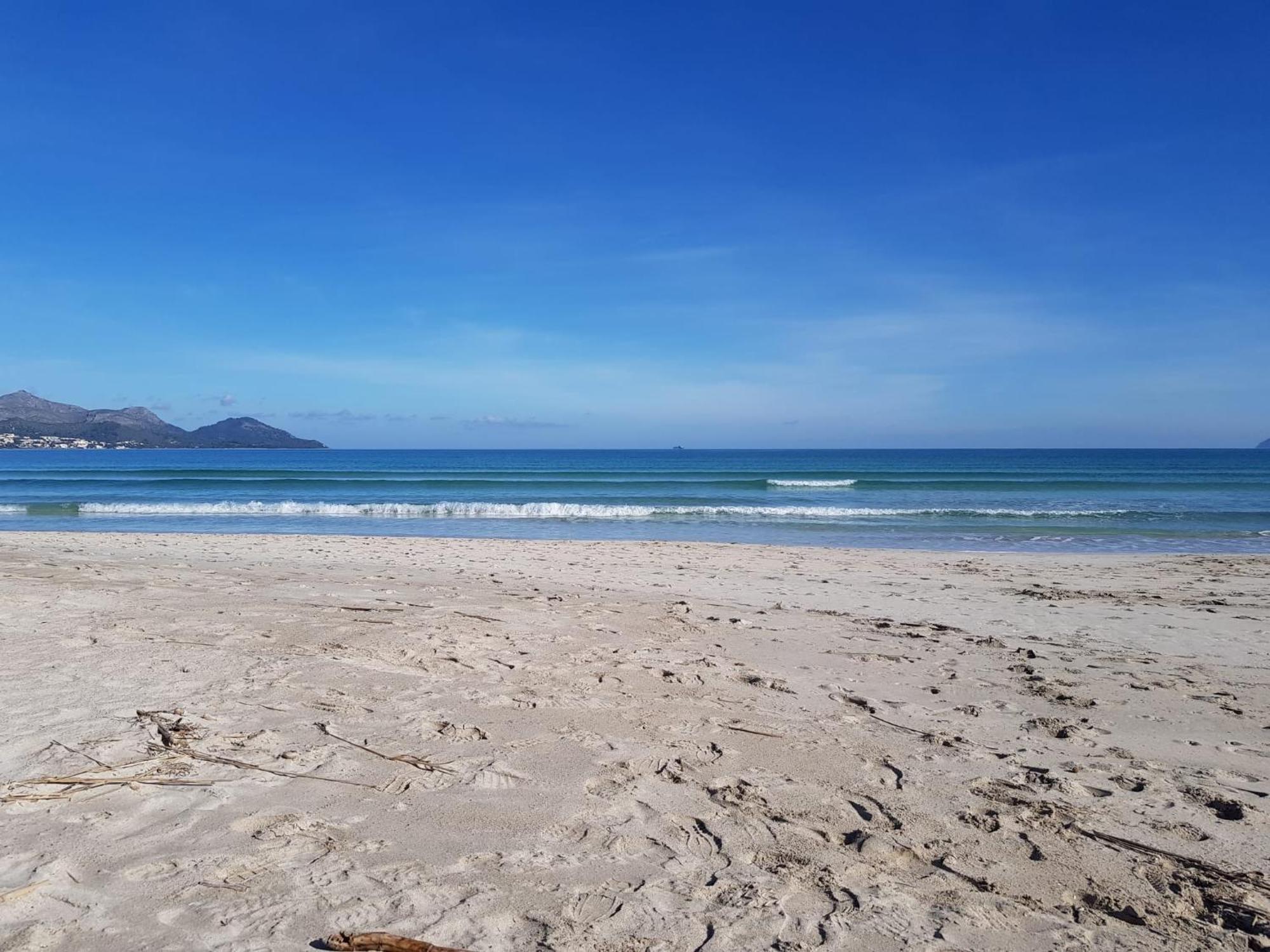 Ideal Property Mallorca - Playasol Port de Alcudia  Esterno foto